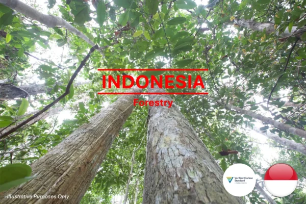 Indonesia Forestry Carbon Credit VERRA V2019