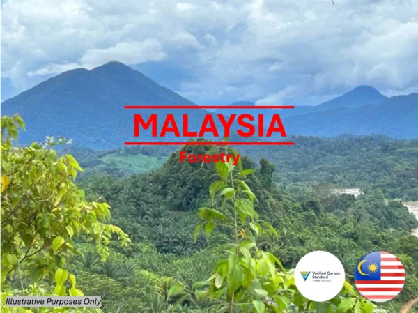 Malaysia Forestry Carbon Credit VERRA V2015